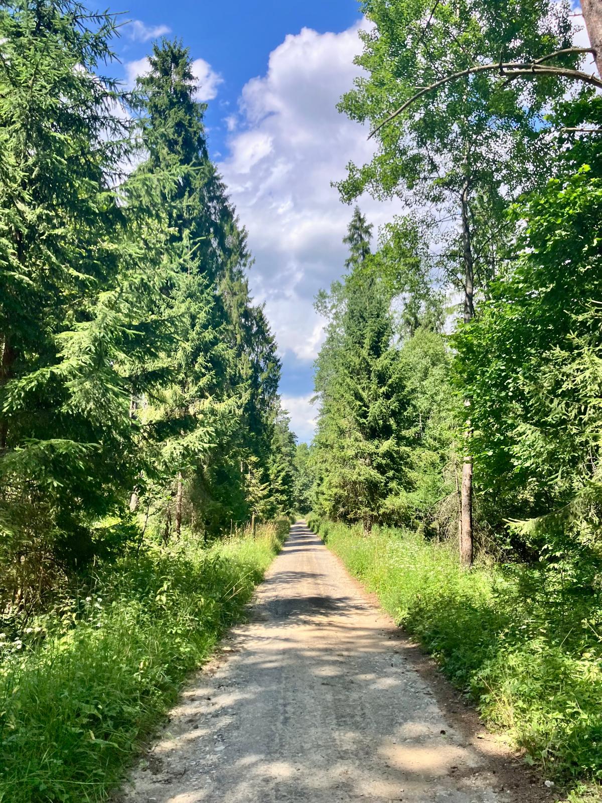Daniškovce cyklo